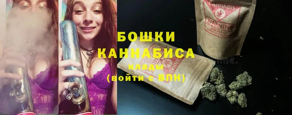 ALPHA PVP Беслан