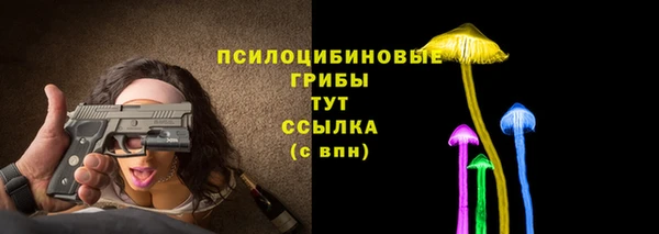 прущая мука Нея