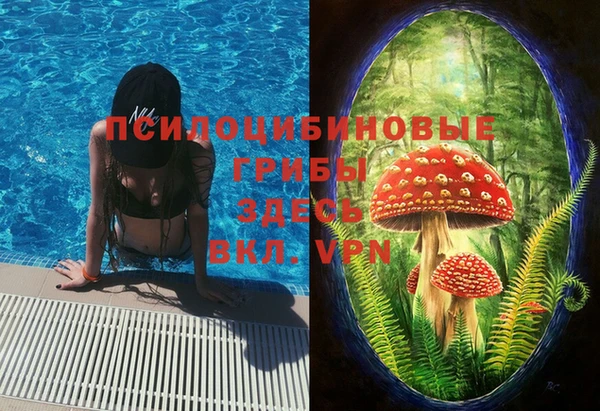 прущая мука Нея
