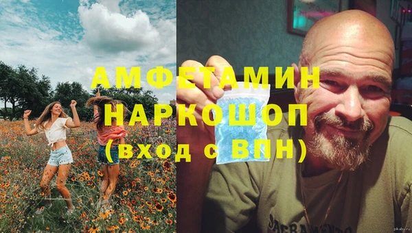 бошки Богданович