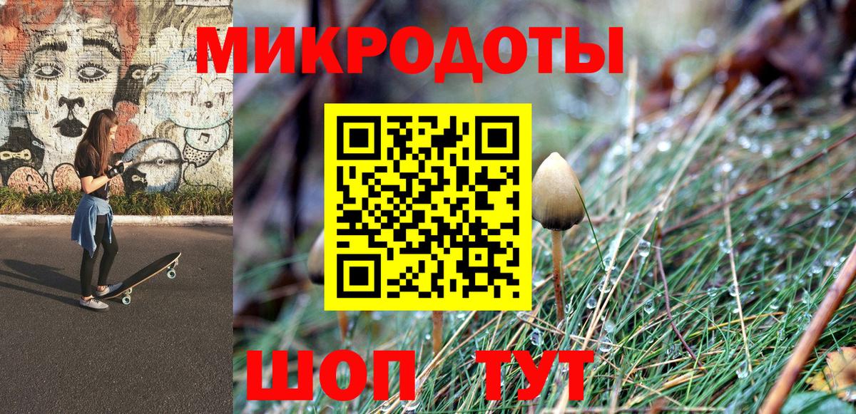 Галлюциногенные грибы Psilocybine cubensis Скопин