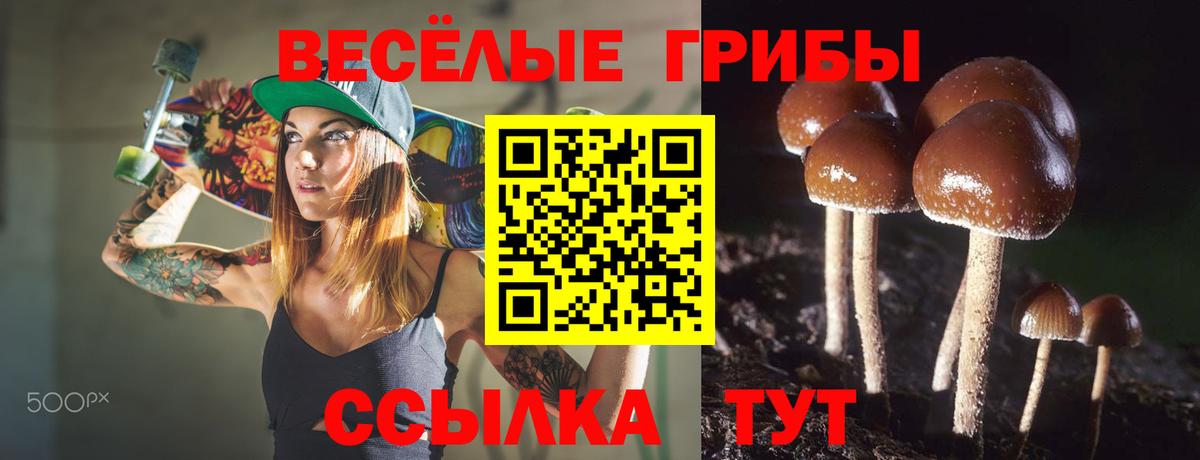 Псилоцибиновые грибы MAGIC MUSHROOMS  закладки  Псилоцибиновые грибы прущие грибы  Скопин 